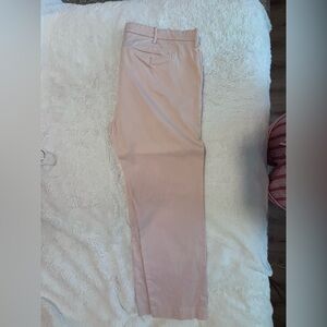 J. Crew Blush Stretch Pants
